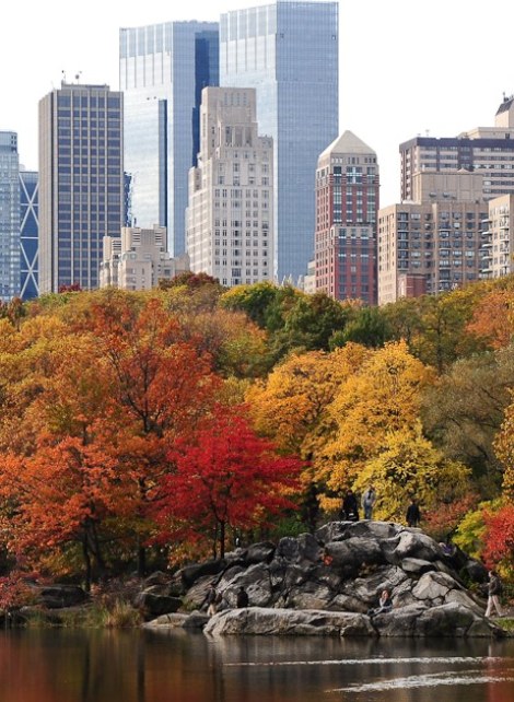Fall in NYC