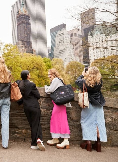 LIM students on central park bridge