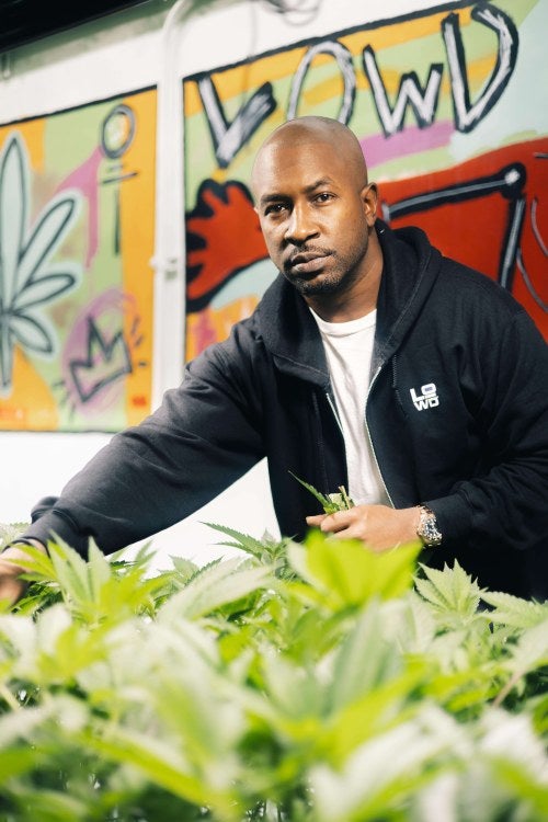 man in front of cannabis