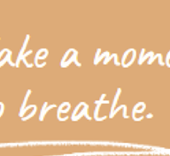 Take a moment to breathe. 