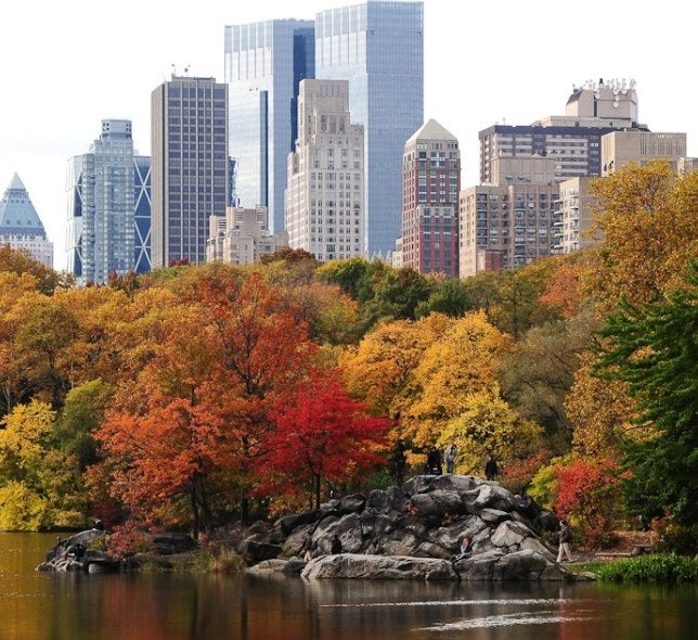 Fall in NYC