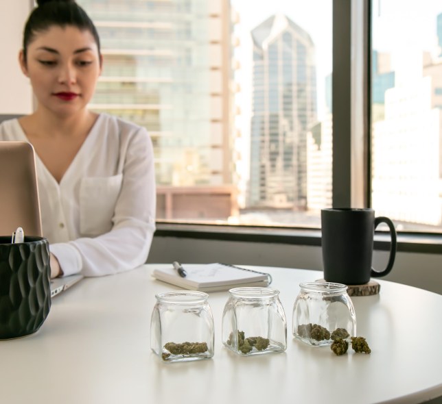 Woman at laptop with jars of cannabis on the desk.