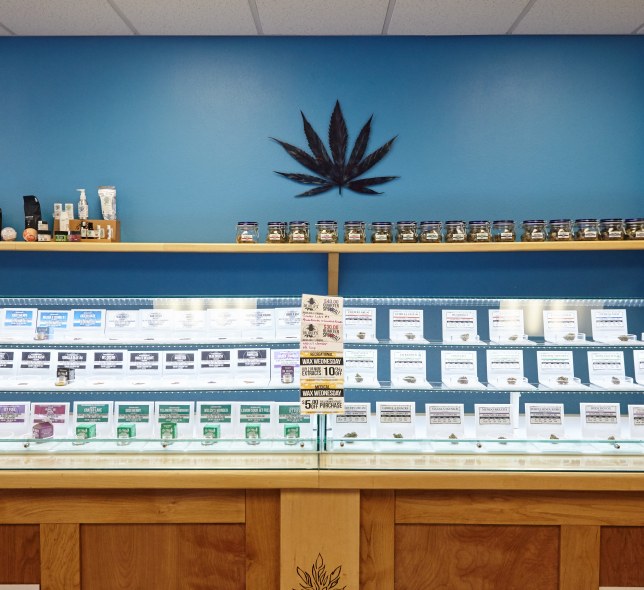 a display of cannabis products