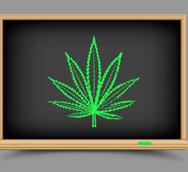cannabis leaf on chalkboard