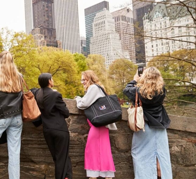 LIM students on central park bridge