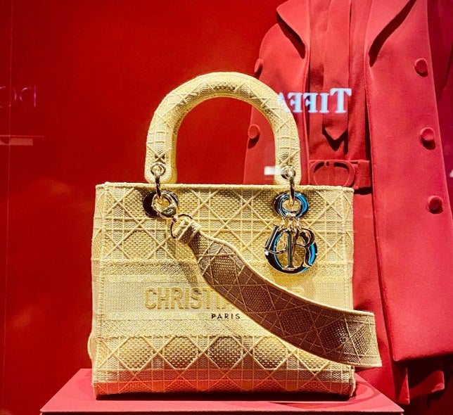 Purse in store window