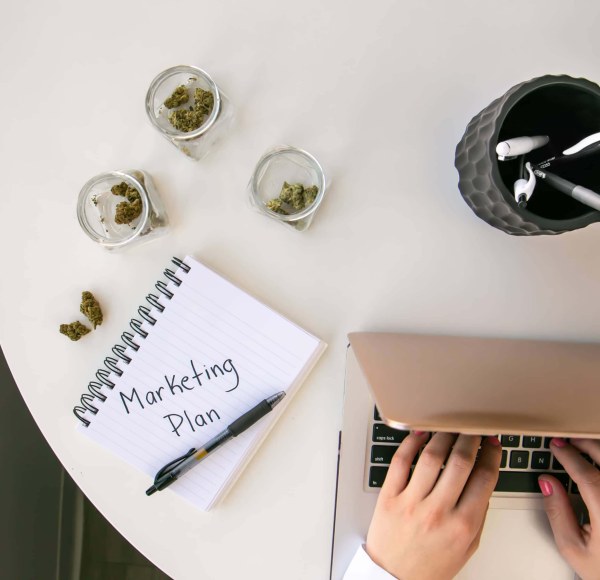 A top-down view of a table, which holds a laptop, cannabis products, pens, and a notepad with the words "marketing plan"