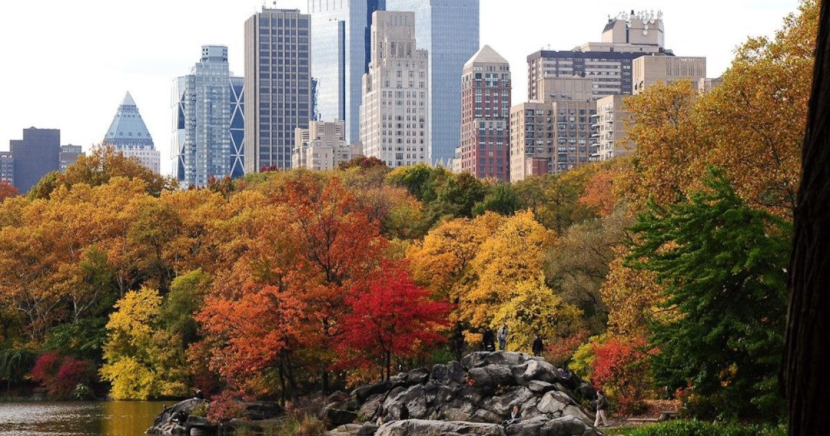 10 Cheap Things College Students Can Do in NYC